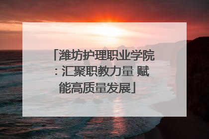 潍坊护理职业学院：汇聚职教力量 赋能高质量发展