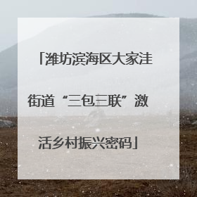潍坊滨海区大家洼街道“三包三联”激活乡村振兴密码