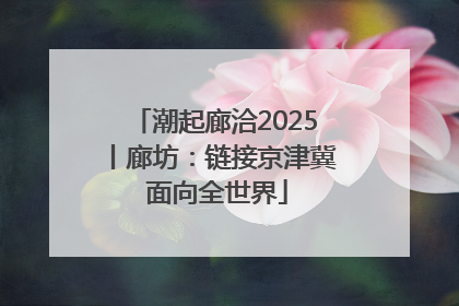 潮起廊洽2025丨廊坊：链接京津冀 面向全世界