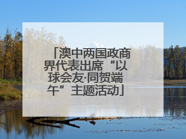 澳中两国政商界代表出席“以球会友·同贺端午”主题活动