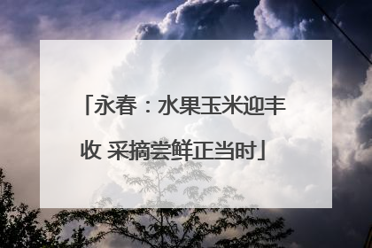 永春：水果玉米迎丰收 采摘尝鲜正当时