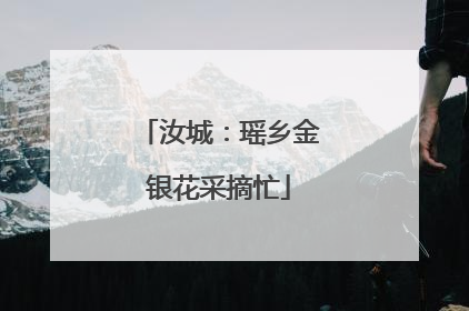 汝城：瑶乡金银花采摘忙