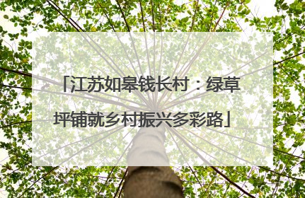 江苏如皋钱长村：绿草坪铺就乡村振兴多彩路