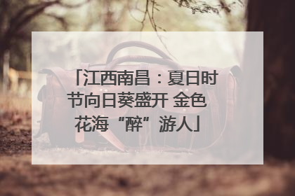 江西南昌：夏日时节向日葵盛开 金色花海“醉”游人