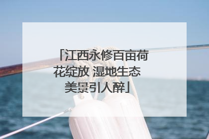 江西永修百亩荷花绽放 湿地生态美景引人醉