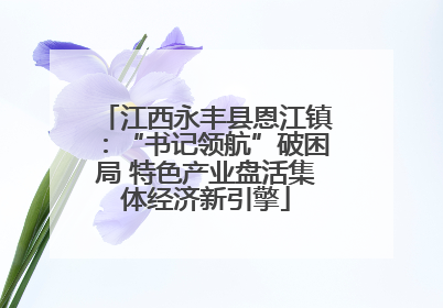 江西永丰县恩江镇：“书记领航”破困局 特色产业盘活集体经济新引擎