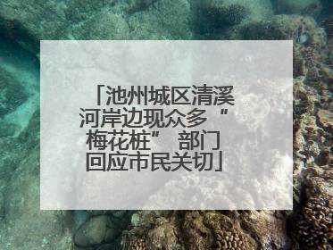 池州城区清溪河岸边现众多“梅花桩” 部门回应市民关切