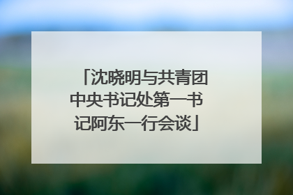 沈晓明与共青团中央书记处第一书记阿东一行会谈