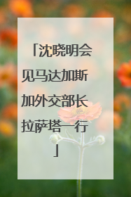 沈晓明会见马达加斯加外交部长拉萨塔一行