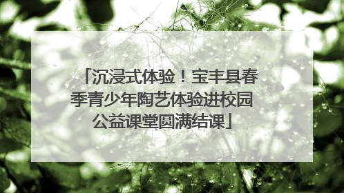 沉浸式体验！宝丰县春季青少年陶艺体验进校园公益课堂圆满结课