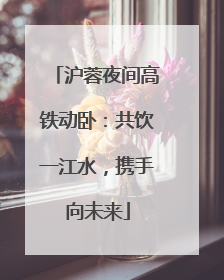 沪蓉夜间高铁动卧：共饮一江水，携手向未来