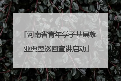 河南省青年学子基层就业典型巡回宣讲启动