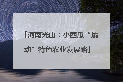 河南光山：小西瓜“撬动”特色农业发展路