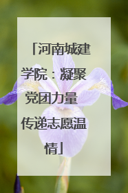 河南城建学院：凝聚党团力量 传递志愿温情