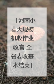 河南小麦大规模机收作业收官 全省麦收基本结束
