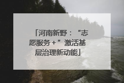 河南新野：“志愿服务＋”激活基层治理新动能