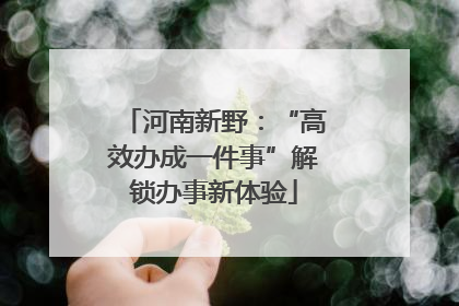 河南新野：“高效办成一件事”解锁办事新体验