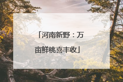河南新野：万亩鲜桃喜丰收