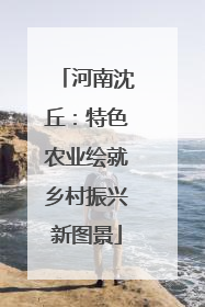 河南沈丘：特色农业绘就乡村振兴新图景
