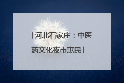 河北石家庄：中医药文化夜市惠民