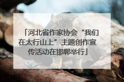 河北省作家协会“我们在太行山上”主题创作宣传活动在邯郸举行