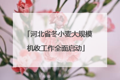 河北省冬小麦大规模机收工作全面启动