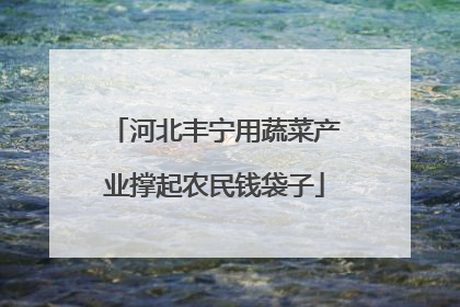 河北丰宁用蔬菜产业撑起农民钱袋子