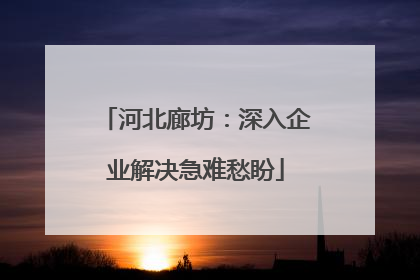 河北廊坊：深入企业解决急难愁盼