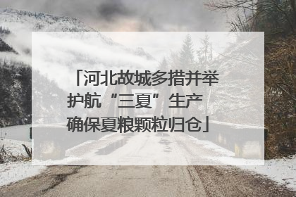 河北故城多措并举护航“三夏”生产 确保夏粮颗粒归仓
