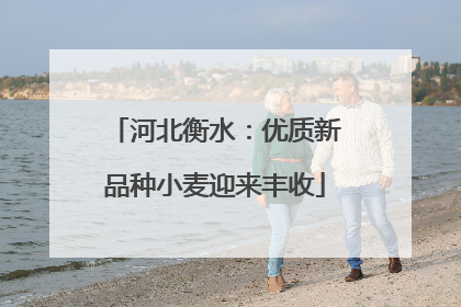 河北衡水：优质新品种小麦迎来丰收