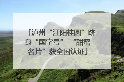 泸州“江阳桂圆”跻身“国字号” “甜蜜名片”获全国认证