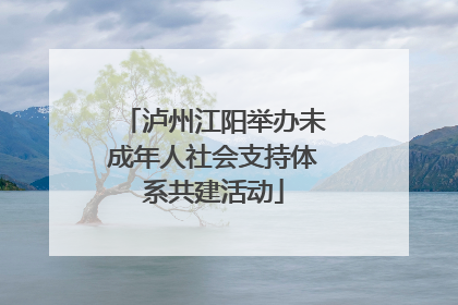 泸州江阳举办未成年人社会支持体系共建活动