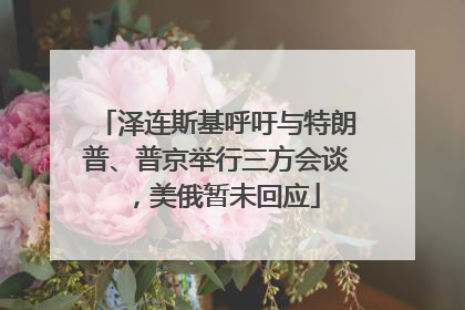 泽连斯基呼吁与特朗普、普京举行三方会谈，美俄暂未回应