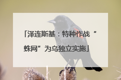 泽连斯基：特种作战“蛛网”为乌独立实施