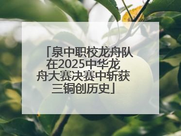 泉中职校龙舟队在2025中华龙舟大赛决赛中斩获三铜创历史