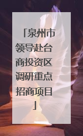 泉州市领导赴台商投资区调研重点招商项目
