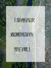 泉州首次观测到深色型白鹭