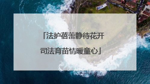 法护蓓蕾静待花开 司法育苗情暖童心