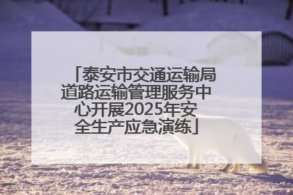 泰安市交通运输局道路运输管理服务中心开展2025年安全生产应急演练