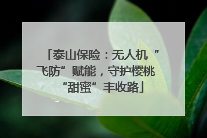 泰山保险：无人机“飞防”赋能，守护樱桃“甜蜜”丰收路