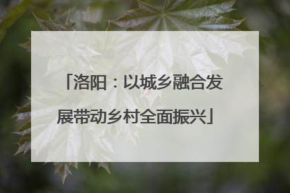 洛阳：以城乡融合发展带动乡村全面振兴