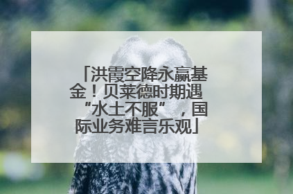 洪霞空降永赢基金！贝莱德时期遇“水土不服”，国际业务难言乐观