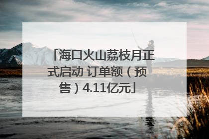 海口火山荔枝月正式启动 订单额（预售）4.11亿元