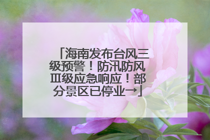 海南发布台风三级预警！防汛防风Ⅲ级应急响应！部分景区已停业→