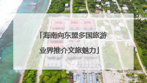 海南向东盟多国旅游业界推介文旅魅力