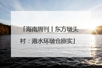 海南周刊丨东方墩头村：港水环墩仓廪实