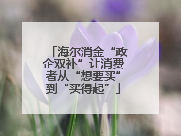 海尔消金“政企双补”让消费者从“想要买”到“买得起”