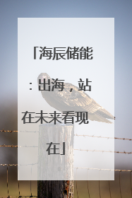 海辰储能：出海，站在未来看现在