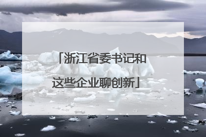 浙江省委书记和这些企业聊创新
