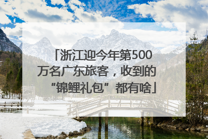 浙江迎今年第500万名广东旅客，收到的“锦鲤礼包”都有啥